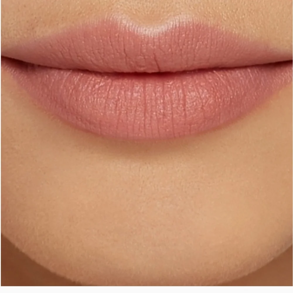 🧚‍♀️PINKY NUDE SINNER Lipstick Queen RARE Lipstick NWOBox